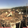 08_40-nest.jpg