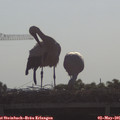 09_00-mast.jpg