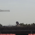 09_15-mast.jpg