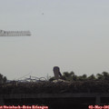 09_20-mast.jpg