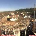09_20-nest.jpg