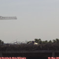 09_35-mast.jpg