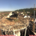 09_35-nest.jpg