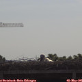 09_40-mast.jpg