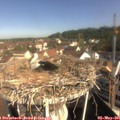09_40-nest.jpg
