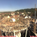 09_45-nest.jpg