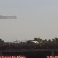 10_00-mast.jpg