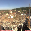 10_00-nest.jpg