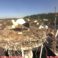 10_05-nest.jpg