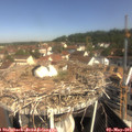 10_10-nest.jpg