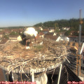 10_15-nest.jpg