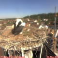 10_20-nest.jpg