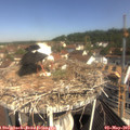 10_25-nest.jpg