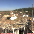 10_35-nest.jpg