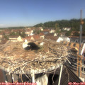 10_45-nest.jpg
