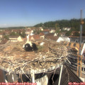 10_55-nest.jpg