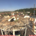 11_45-nest.jpg