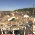 11_55-nest.jpg