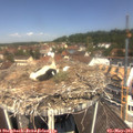 12_00-nest.jpg