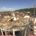 12_10-nest.jpg