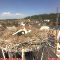 12_15-nest.jpg