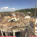 12_20-nest.jpg