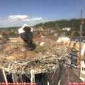 12_30-nest.jpg