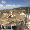 12_40-nest.jpg