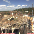 12_45-nest.jpg