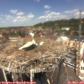 13_00-nest.jpg