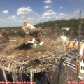 13_15-nest.jpg