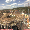 13_45-nest.jpg