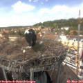 13_55-nest.jpg