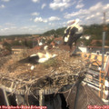 14_05-nest.jpg