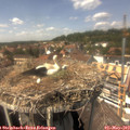 14_25-nest.jpg