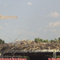 14_30-mast.jpg