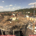 14_35-nest.jpg