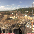 14_40-nest.jpg