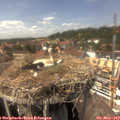 14_45-nest.jpg