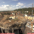 14_55-nest.jpg