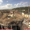 15_00-nest.jpg