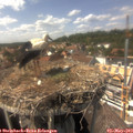 15_05-nest.jpg