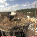 15_10-nest.jpg