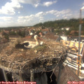 15_20-nest.jpg