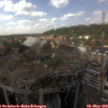 15_30-nest.jpg