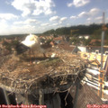 15_35-nest.jpg