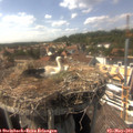 15_45-nest.jpg