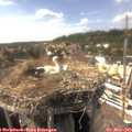15_55-nest.jpg