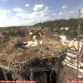 16_00-nest.jpg