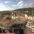 16_05-nest.jpg